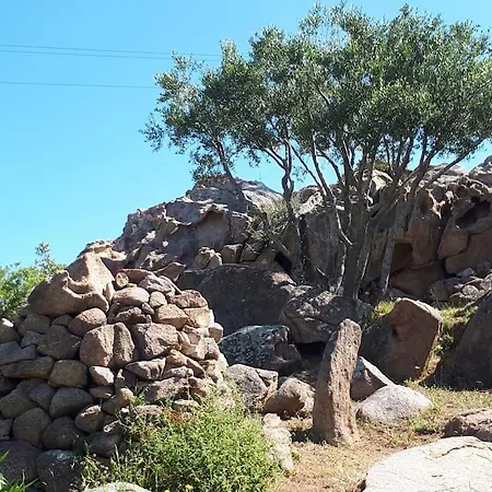 Villa Sara Olbia Esterno foto